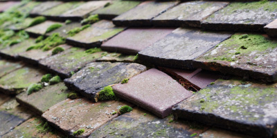 Brogborough roof repair costs